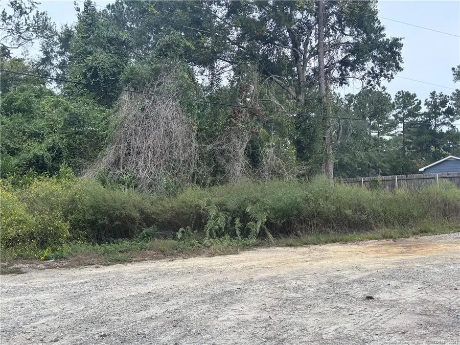 Pelt Drive, Fayetteville, NC 28301 - #3