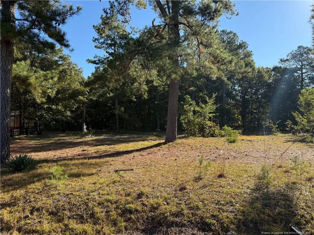 432 Gainey Road, Raeford, NC 28376 - #1