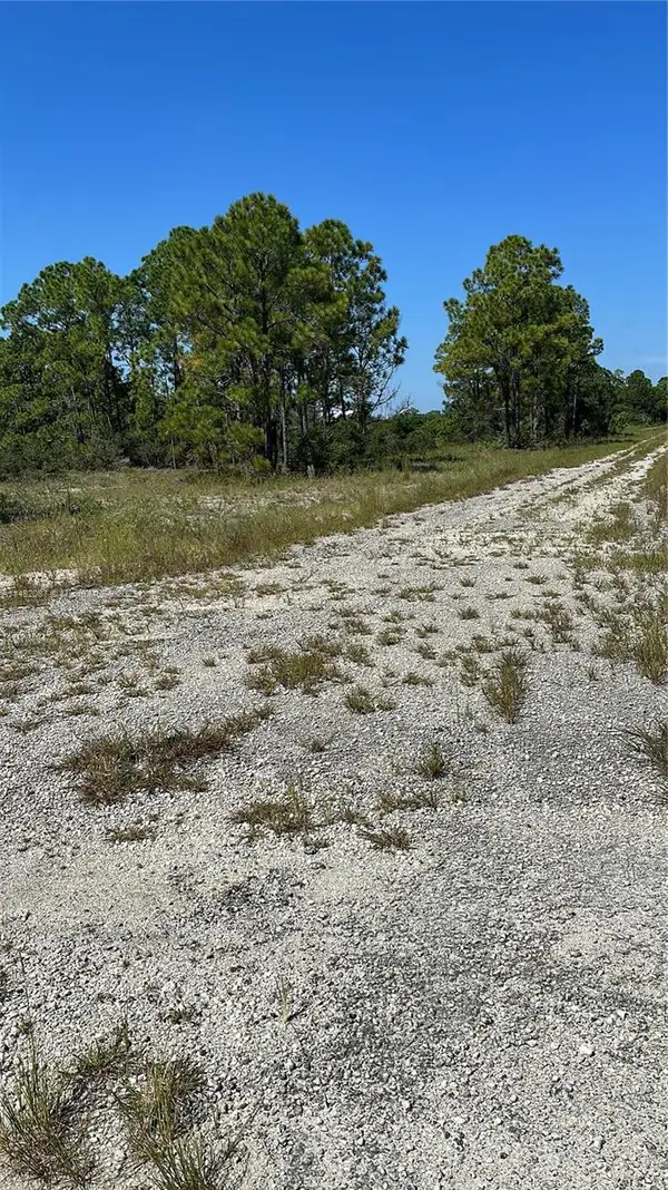 341 Moon River Avenue, Lake Placid, FL 33852
