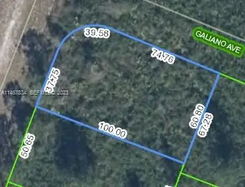 5703 Galiano Avenue, Sebring, FL 33872 - #3