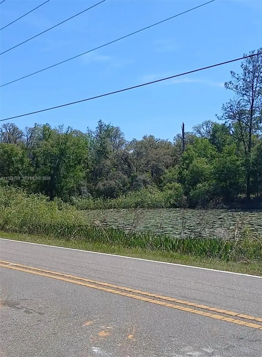 0 Richardson Boulevard, Webster, FL 33597 - #3