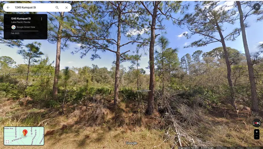 1245 Kumquat Street, Lake Placid, FL 33852 - #3