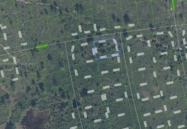 4739 Obispo Avenue, Sebring, FL 33872