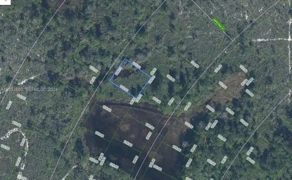 6625 San Benito Drive, Sebring, FL 33872