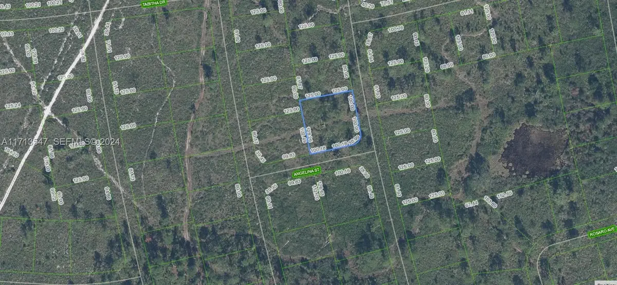 4703 San Pedro Drive, Sebring, FL 33872 - #1