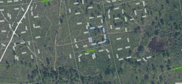 4703 San Pedro Drive, Sebring, FL 33872