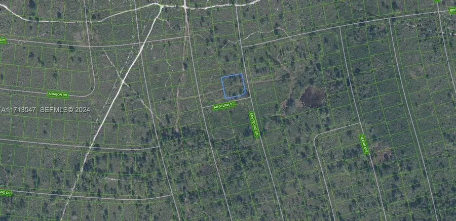 4703 San Pedro Drive, Sebring, FL 33872 - #2