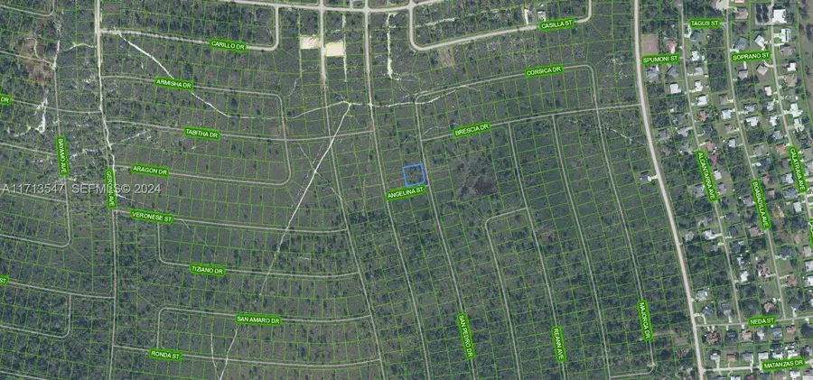 4703 San Pedro Drive, Sebring, FL 33872 - #3
