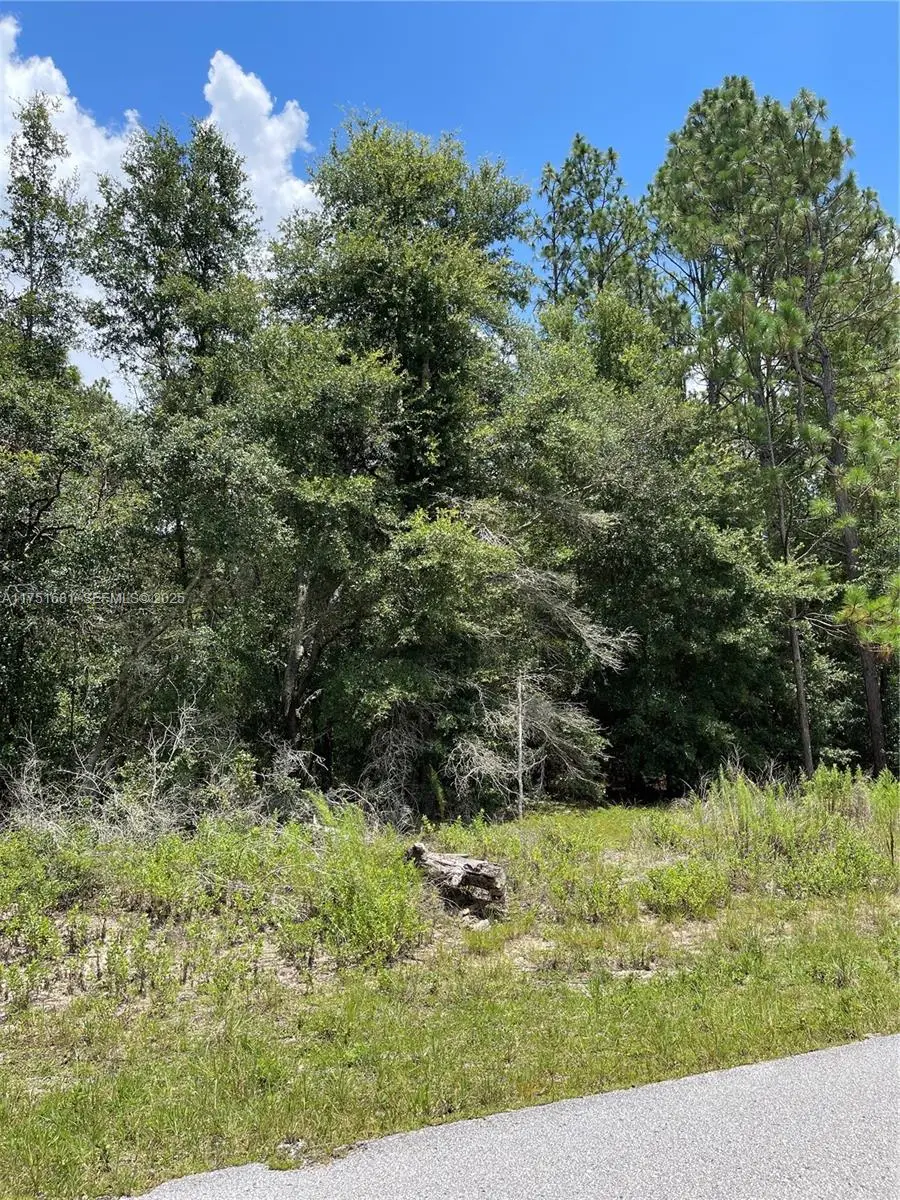 tbd SW Tbd 59th Lane, Dunnellon, FL 34431 - #1