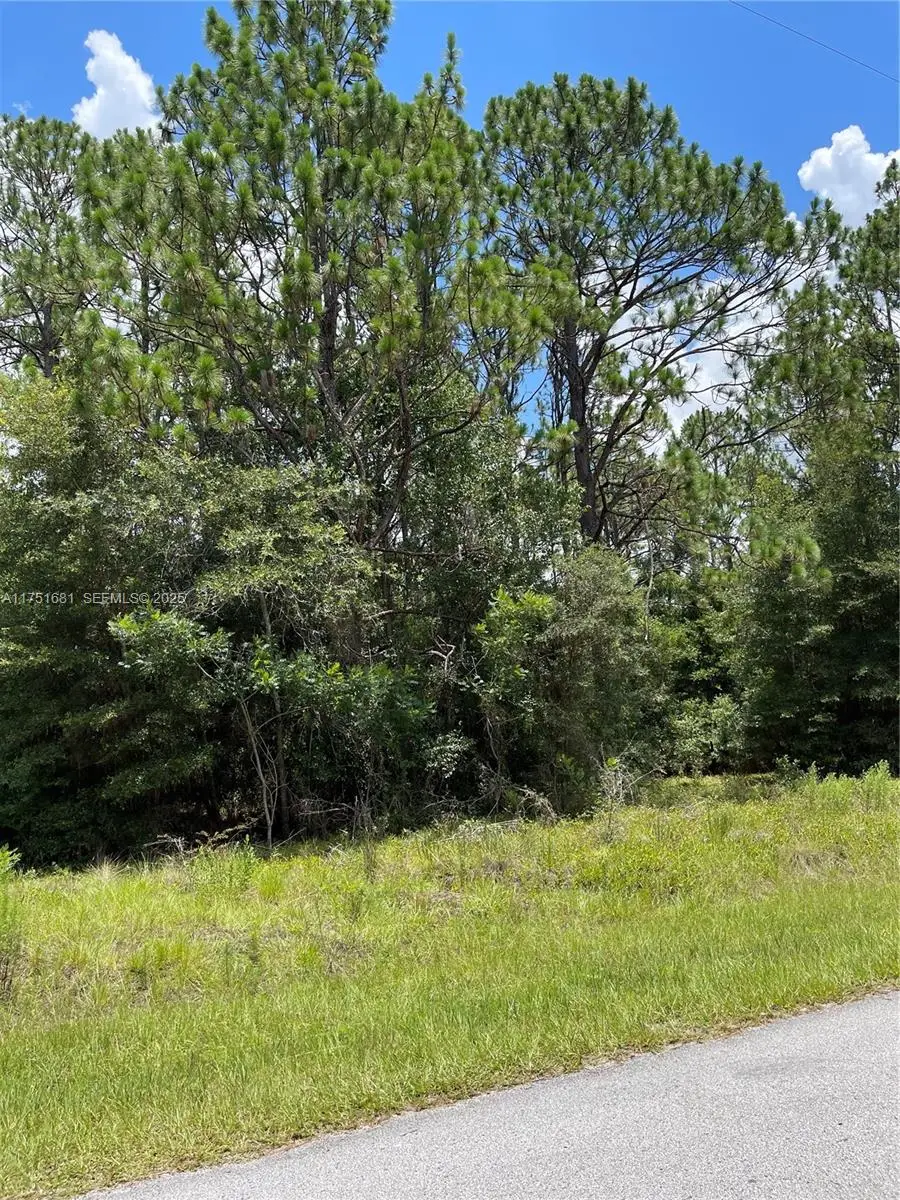 tbd SW Tbd 59th Lane, Dunnellon, FL 34431 - #3