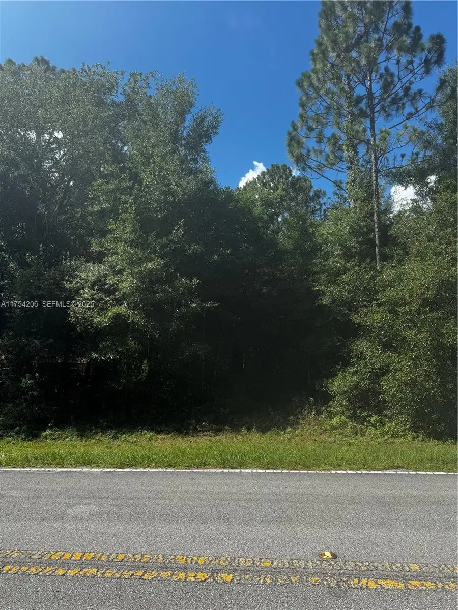 SW 54 th street 54, Dunnellon, FL 34431 - #2