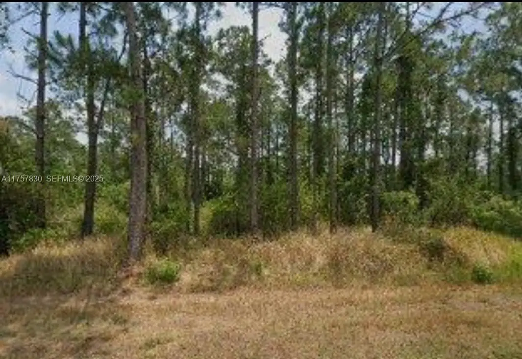 5112 Manati Avenue, Sebring, FL 33872 - #1