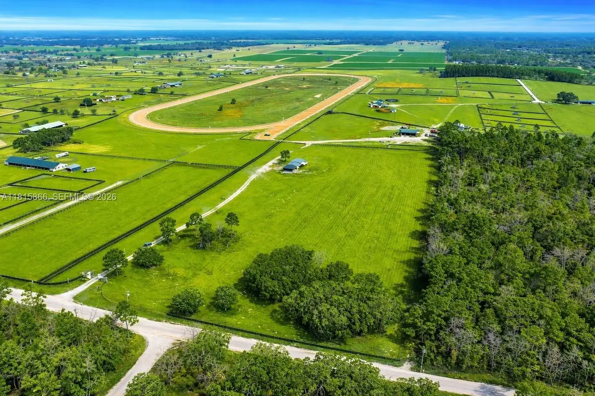12451 NE 20th Street, Williston, FL 32696 - #1