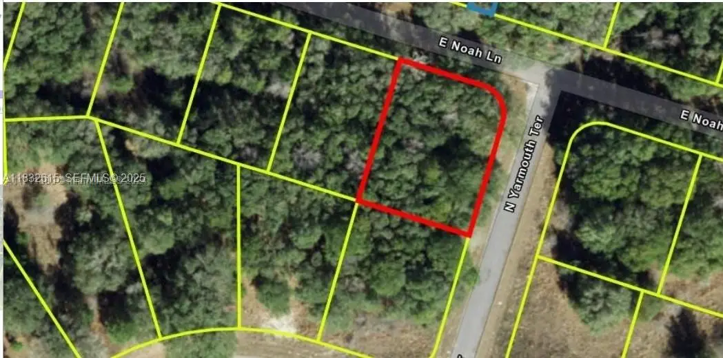 684 E Noah Lane, Citrus Springs, FL 34434 - #1
