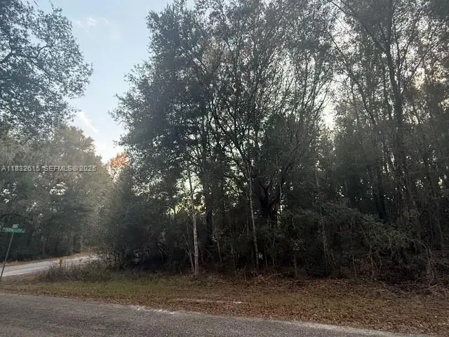 684 E Noah Lane, Citrus Springs, FL 34434 - #3