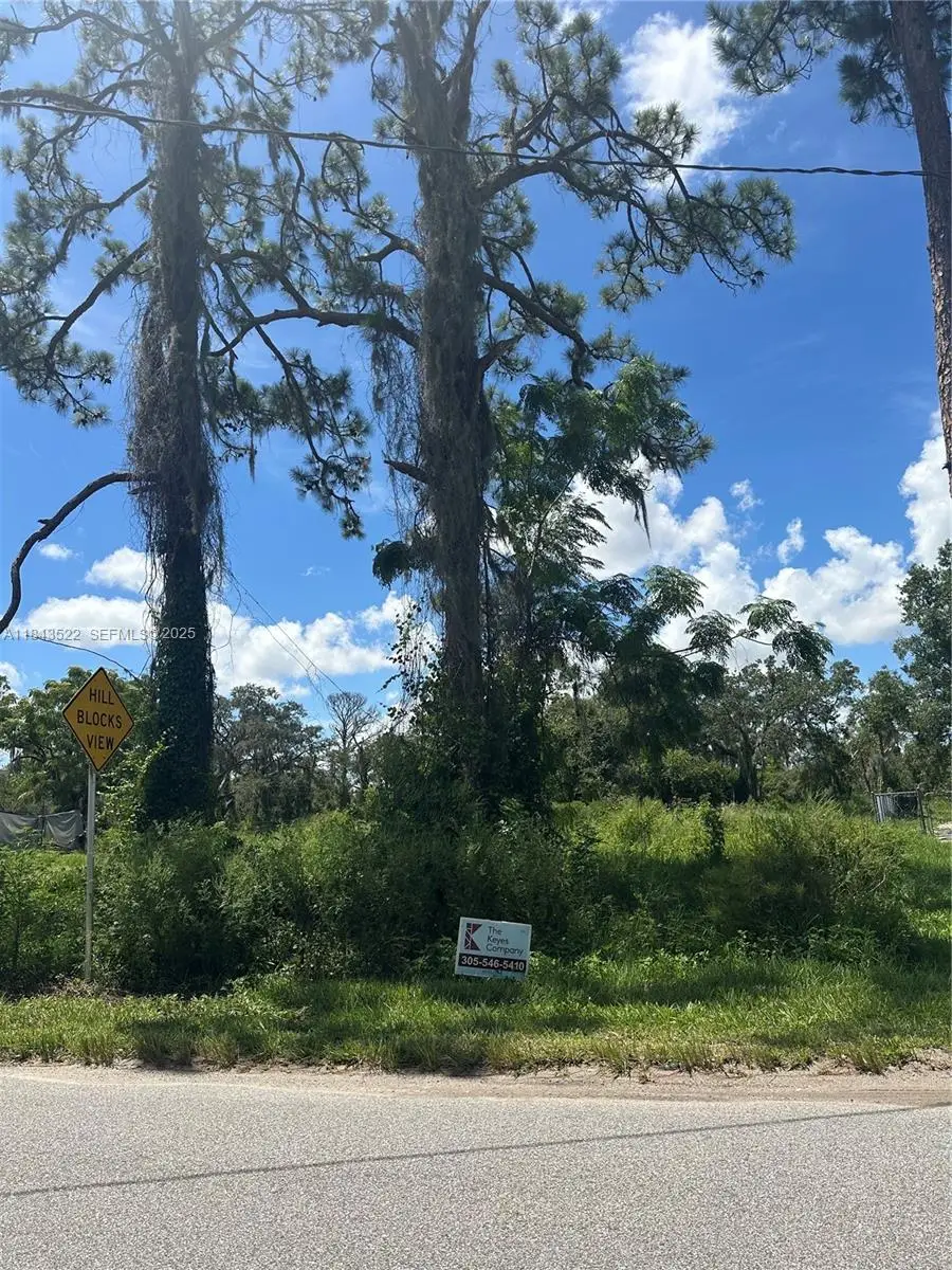 257 Moon Glow, Lake Placid, FL 33852 - #1
