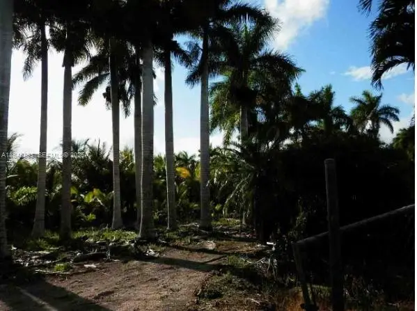 212 SW Th Avenue, Homestead, FL 33034 - #2