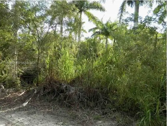 212 SW Th Avenue, Homestead, FL 33034 - #3