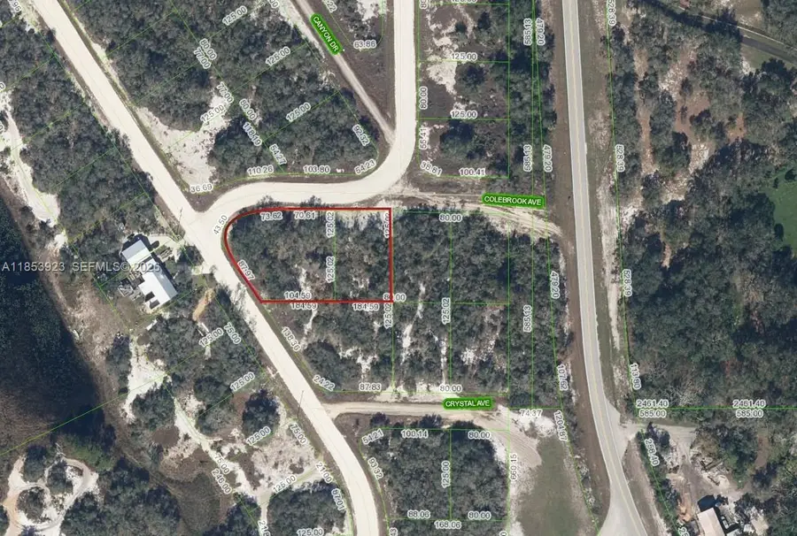 231 Lakeland Drive, Lake Placid, FL 33852 - #2