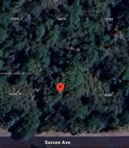 18274 Sarcee Avenue, Port Charlotte, FL 33948 - #2