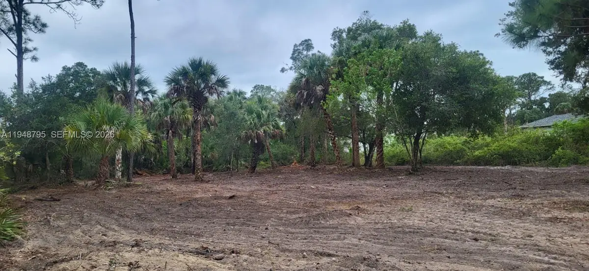 315 Ivanhoe Avenue, Labelle, FL 33935 - #1