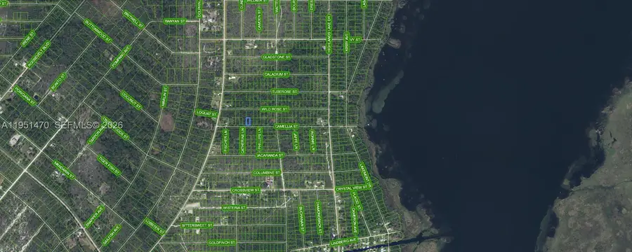 1412 Camellia Street, Lake Placid, FL 33852 - #3