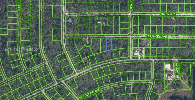 Address Withheld By Seller, Lake Placid, FL 33852 - #1