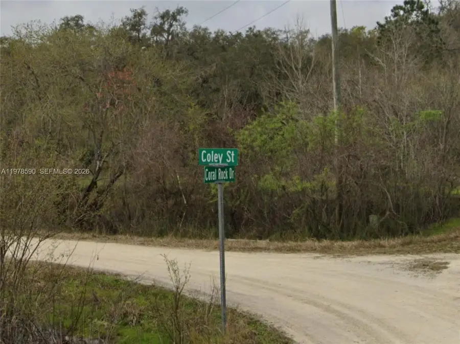 0 Coley Street, Webster, FL  - #2