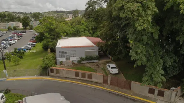- Padial Sur Aibonito #171, ,  