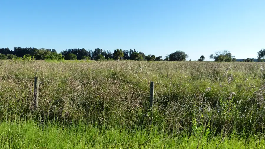 Tbd 2 Pineapple Lane, Fort Pierce, FL 34945 - #3