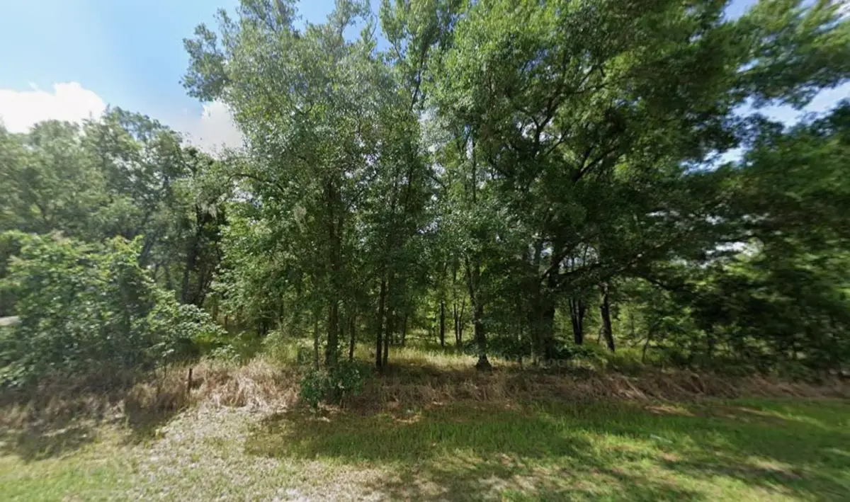 Tbd Sr 40, Dunnellon, FL 34432 - #1