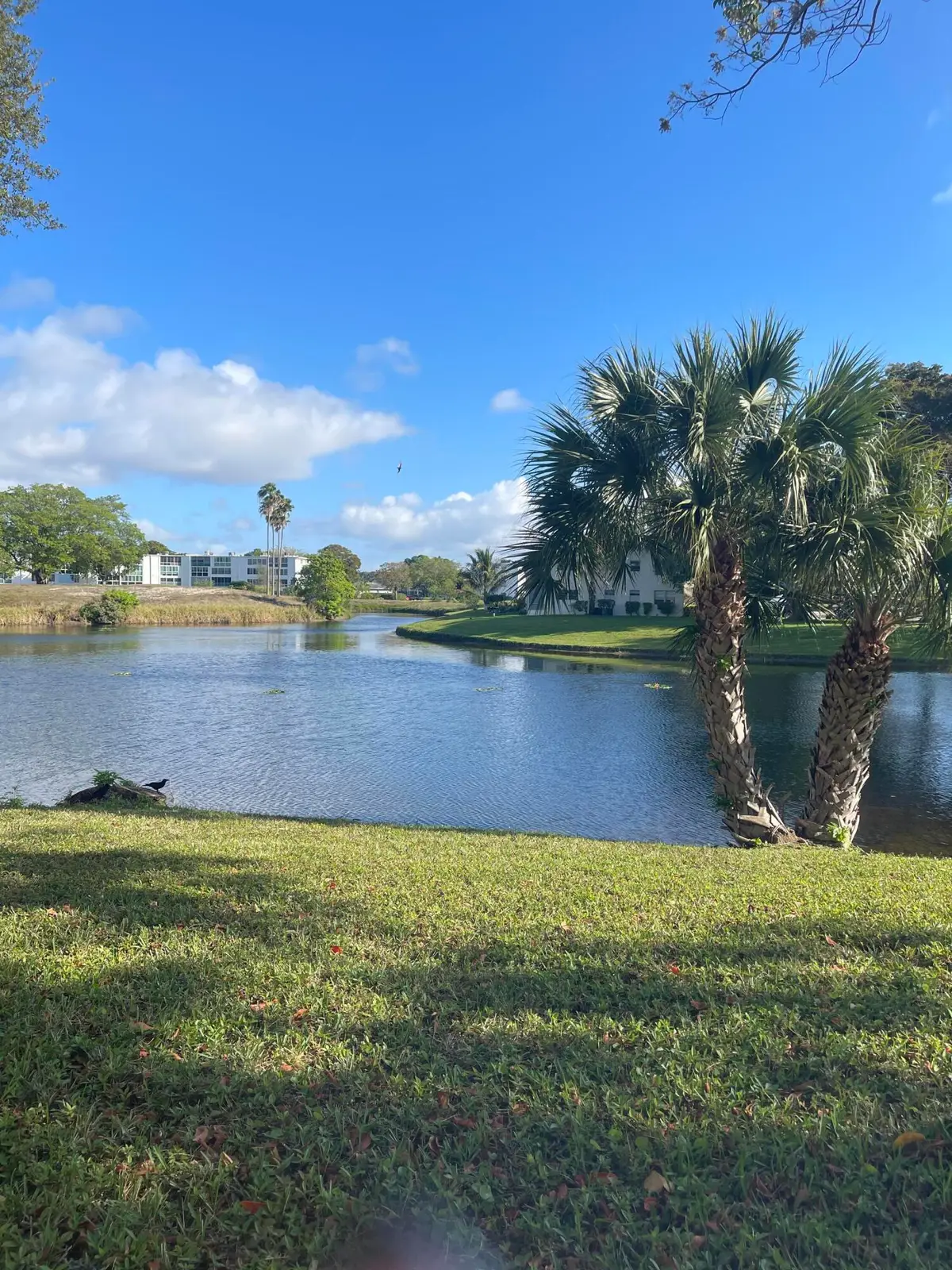 427 Grantham B, Deerfield Beach, FL 33442 - #1