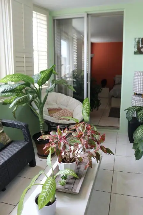 1690 NE 191st Street #408-1, Miami, FL 33179 - #2