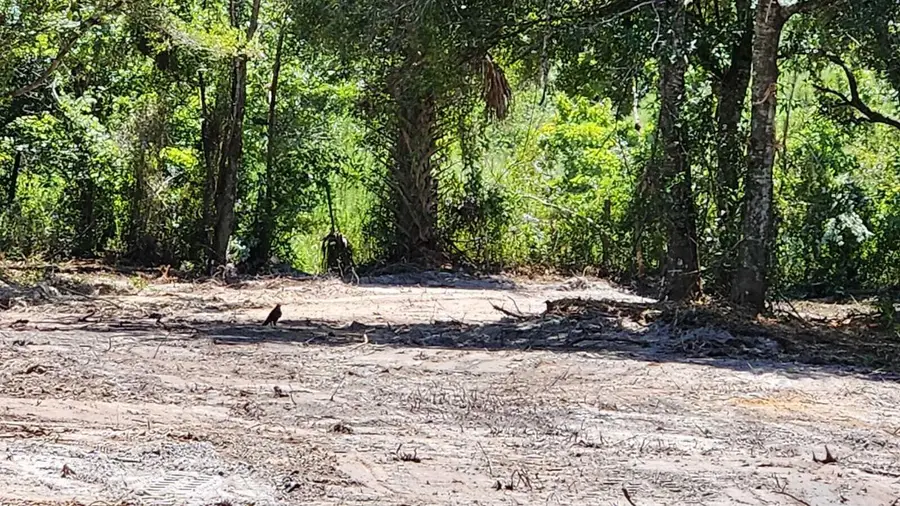 18884 NW 282nd Street, Okeechobee, FL 34972 - #3