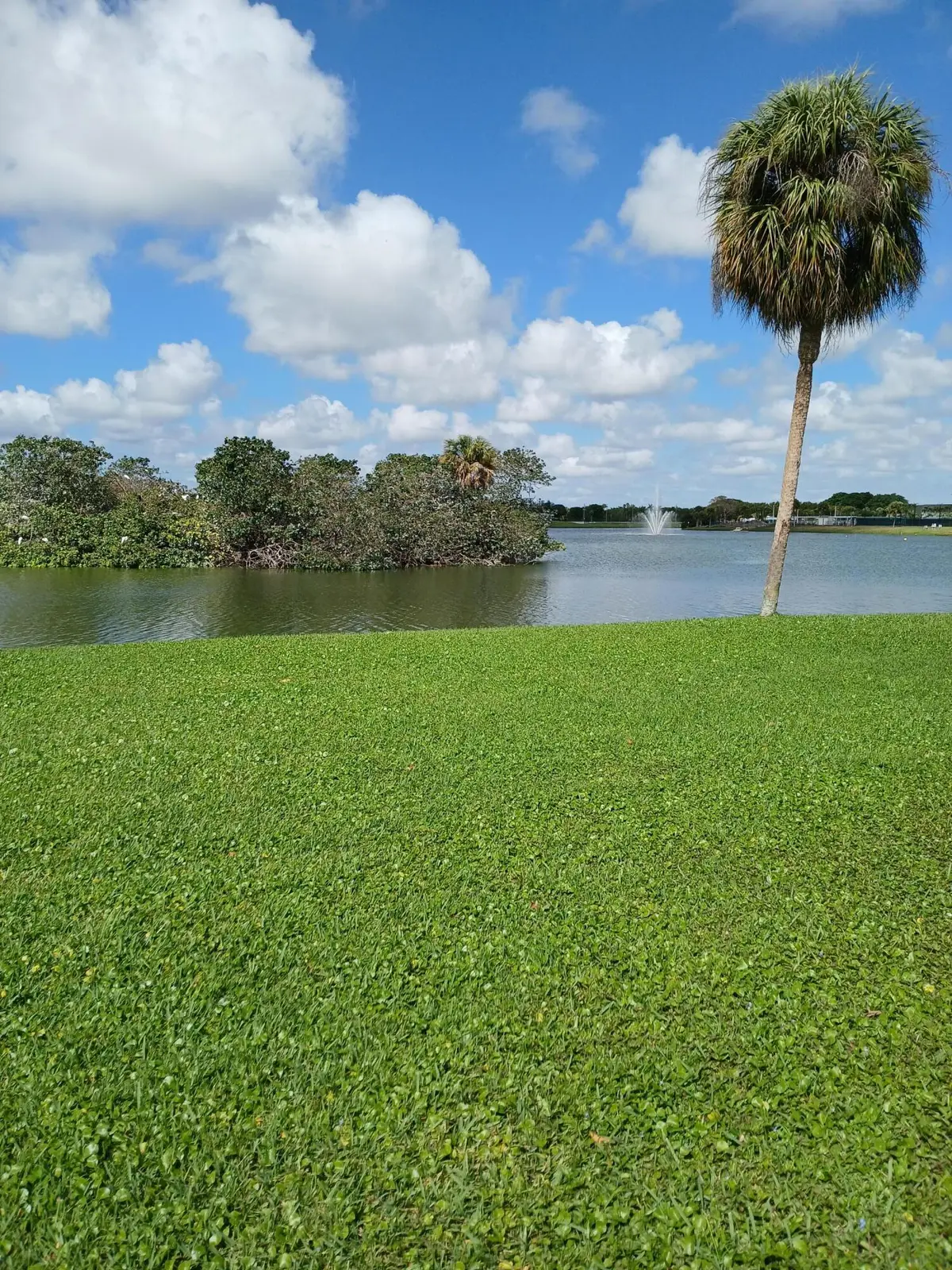 92 Seville Drive, Delray Beach, FL 33446 - #1