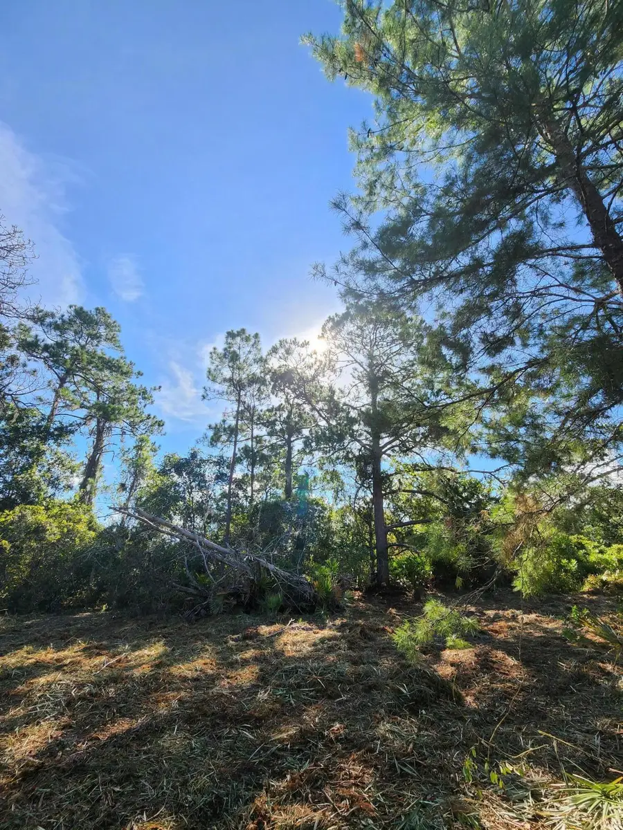 3417 State Rte 66, Sebring, FL 33875 - #2