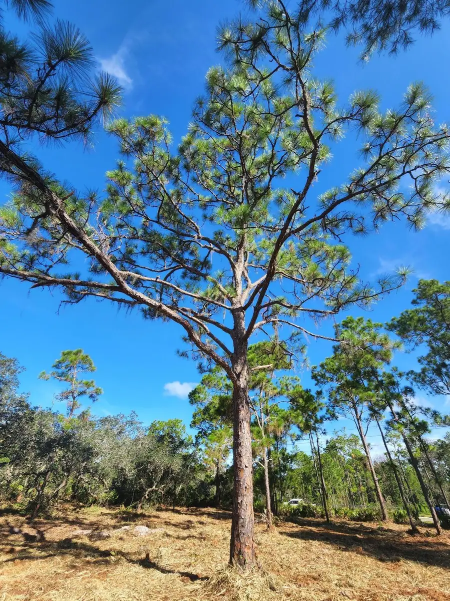 3417 State Rte 66, Sebring, FL 33875 - #3