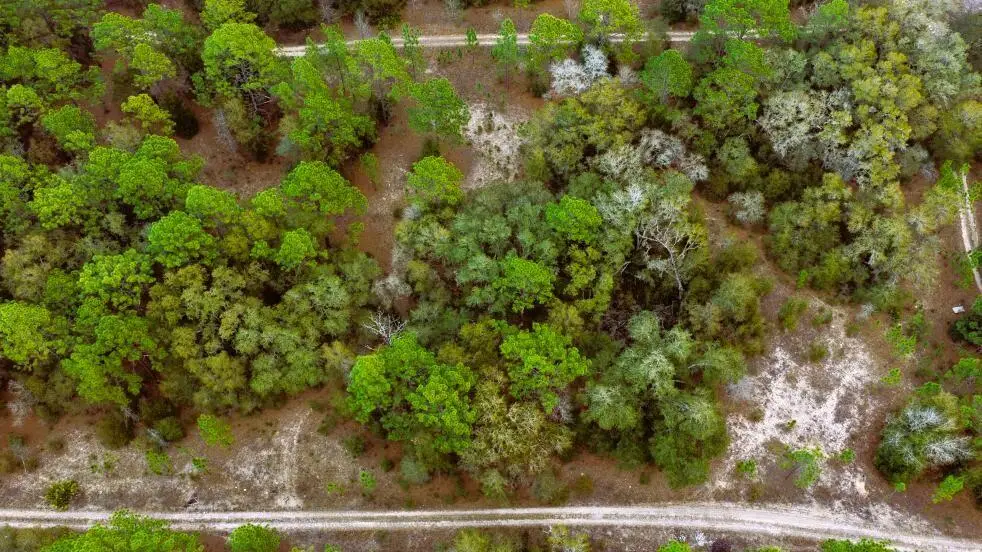 0 SW 152 Terrace, Ocala, FL 34481 - #1