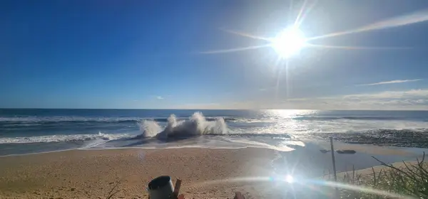 4200 N Ocean Drive #1-1101, Riviera Beach, FL 33404