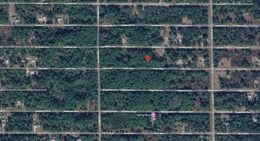 416 Palm Way, Georgetown, FL 32139 - #3
