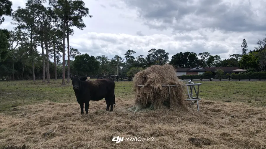 3547 161st Terrace N, Loxahatchee Groves, FL 33470 - #2