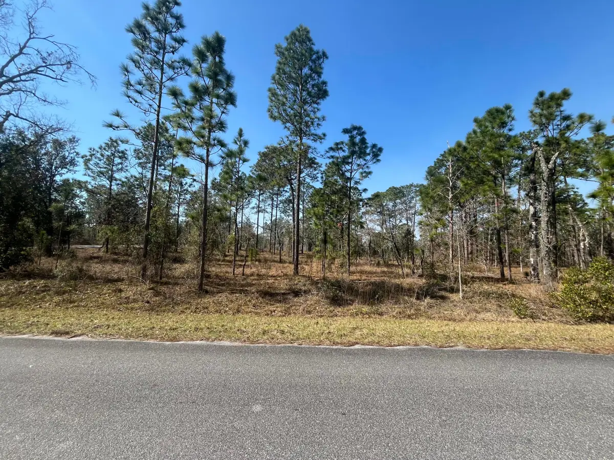 Tbd NW Water Oak Avenue, Dunnellon, FL 34431 - #1