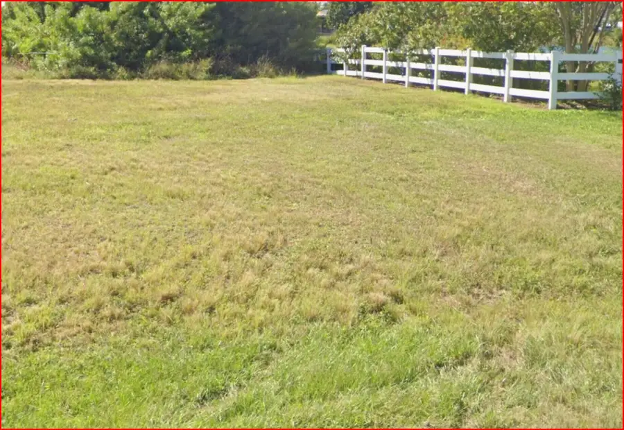 2106 NE 2nd Street, Cape Coral, FL 33909 - #3