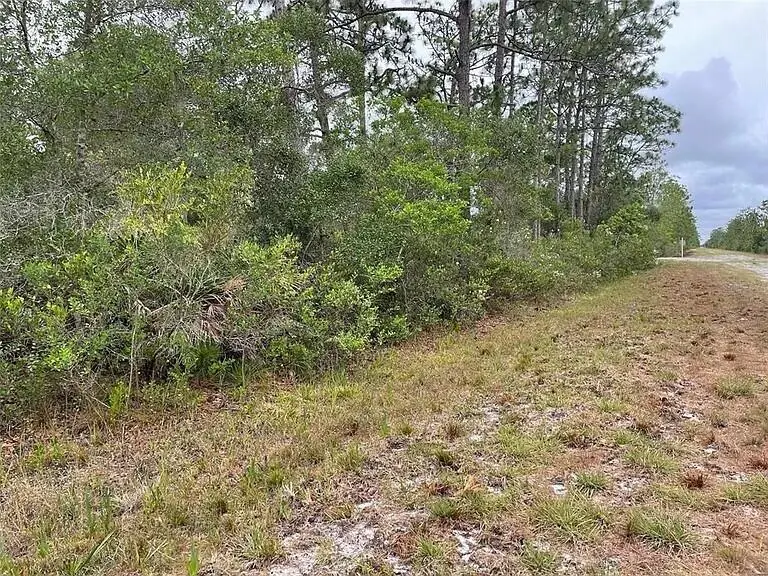 0 Bougainvillea Drive, Indian Lake Estates, FL  - #1