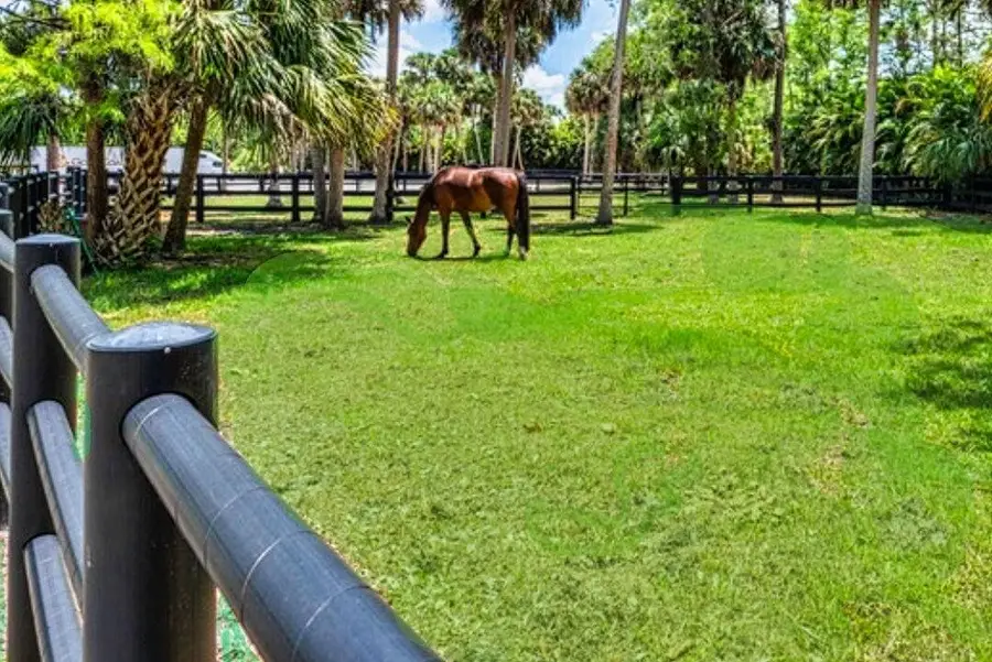 17225 Mare Lane, Loxahatchee, FL 33470 - #3