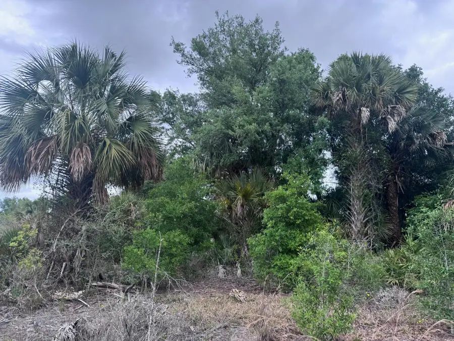 18333 NW 308th Street, Okeechobee, FL 34972 - #2