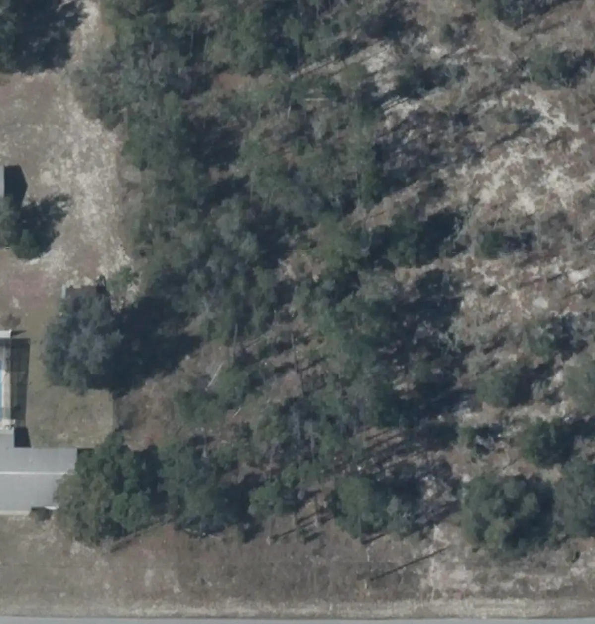 Tbd SW Zinnia Court, Dunnellon, FL 34431 - #1