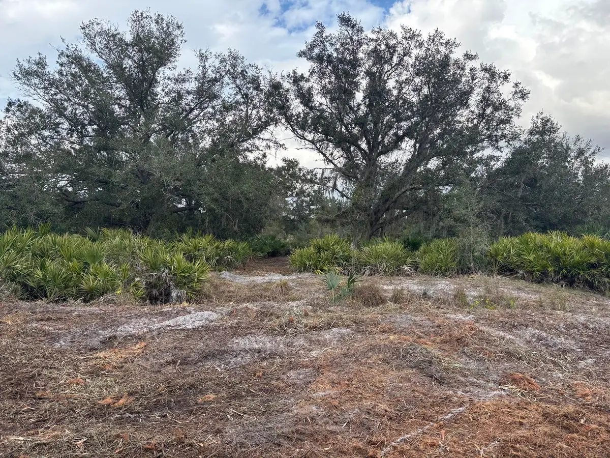 0 NW 290th Street, Okeechobee, FL 34972 - #1