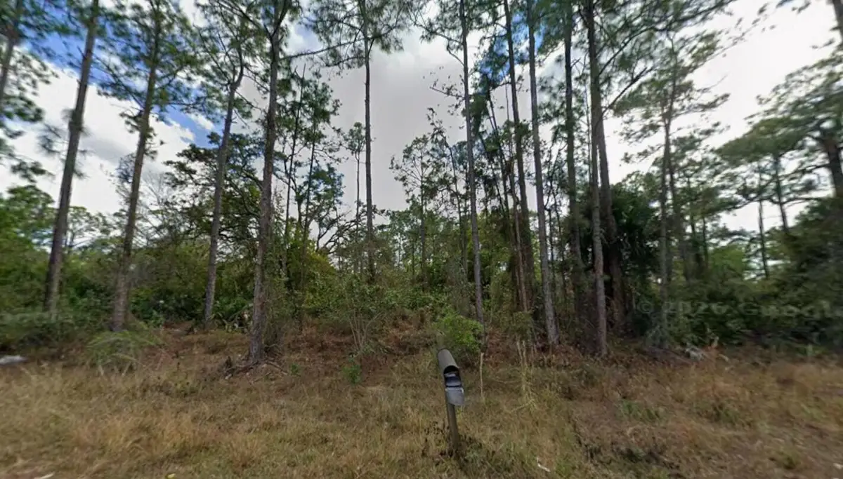 1210 Raphia Street E, Lehigh Acres, FL 33974 - #1