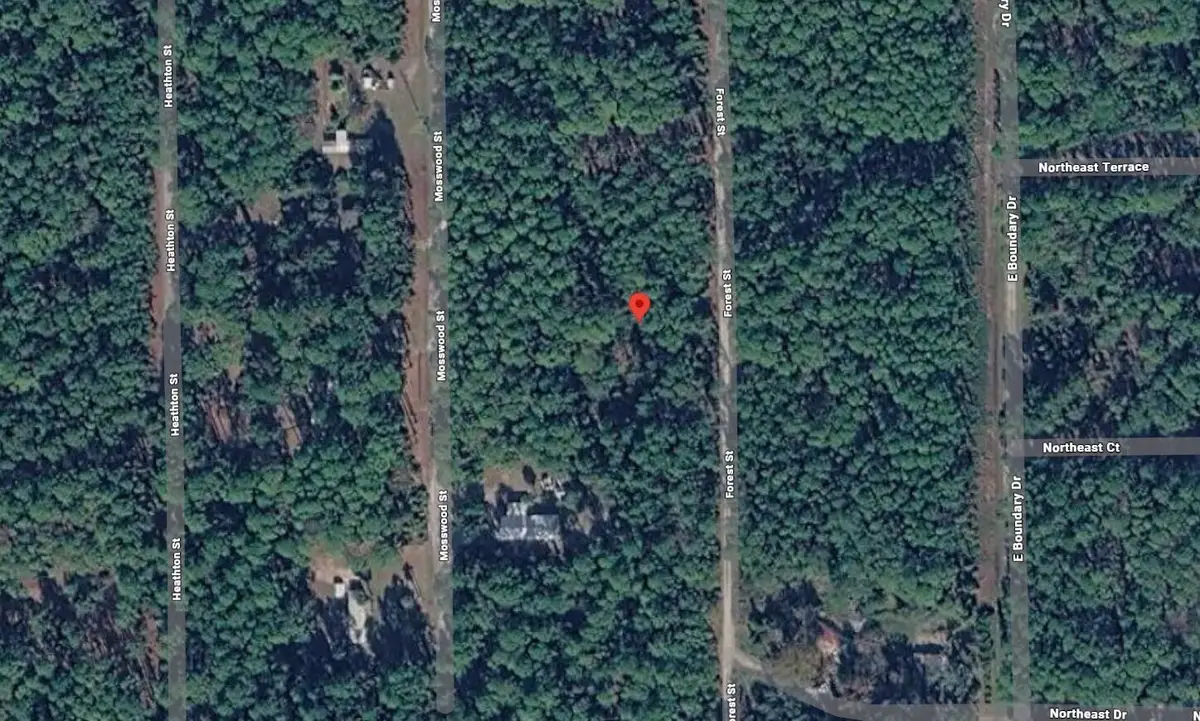 143 Forest Street, Georgetown, FL 32139 - #1